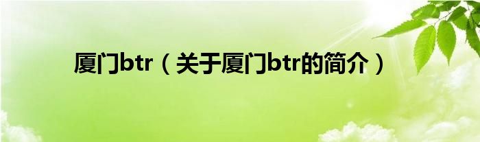 廈門btr（關(guān)于廈門btr的簡介）