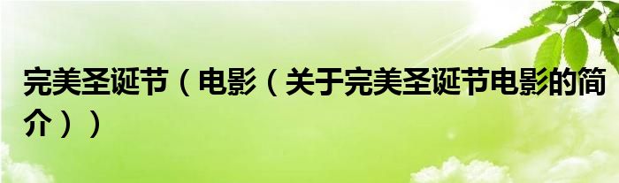 完美圣誕節(jié)（電影（關于完美圣誕節(jié)電影的簡介））