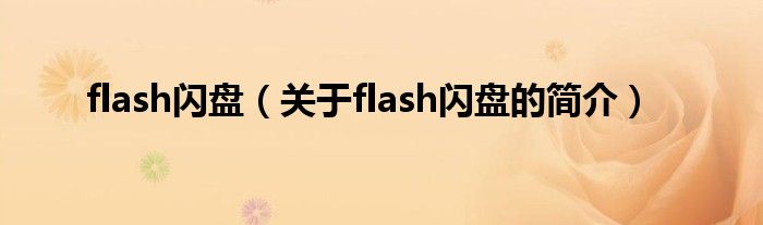 flash閃盤（關(guān)于flash閃盤的簡(jiǎn)介）