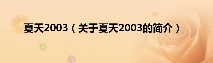 夏天2003（關(guān)于夏天2003的簡(jiǎn)介）