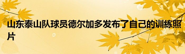 山東泰山隊球員德爾加多發(fā)布了自己的訓練照片