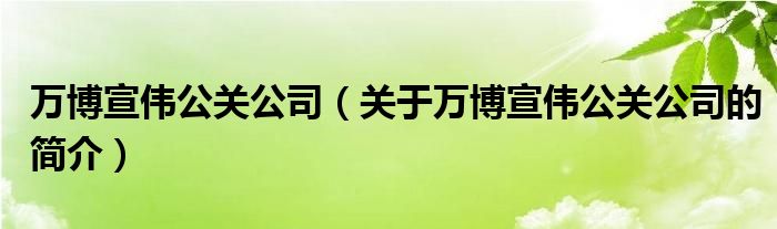 萬(wàn)博宣偉公關(guān)公司（關(guān)于萬(wàn)博宣偉公關(guān)公司的簡(jiǎn)介）