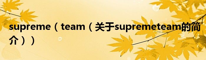 supreme（team（關于supremeteam的簡介））