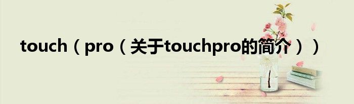 touch（pro（關(guān)于touchpro的簡介））