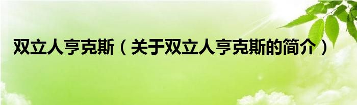 雙立人亨克斯（關(guān)于雙立人亨克斯的簡(jiǎn)介）