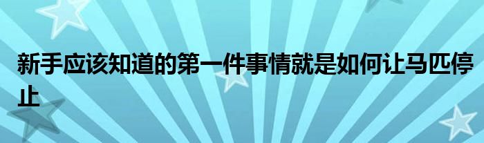 新手應(yīng)該知道的第一件事情就是如何讓馬匹停止