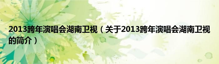 2013跨年演唱會湖南衛(wèi)視（關(guān)于2013跨年演唱會湖南衛(wèi)視的簡介）