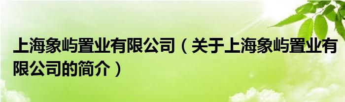 上海象嶼置業(yè)有限公司（關于上海象嶼置業(yè)有限公司的簡介）