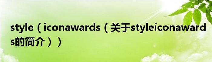 style（iconawards（關(guān)于styleiconawards的簡介））