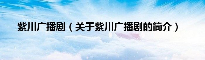 紫川廣播?。P(guān)于紫川廣播劇的簡介）