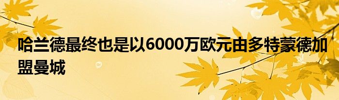 哈蘭德最終也是以6000萬歐元由多特蒙德加盟曼城