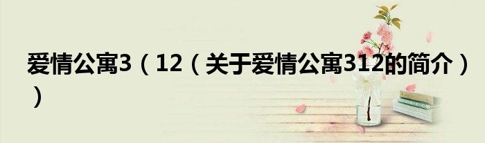 愛情公寓3（12（關于愛情公寓312的簡介））