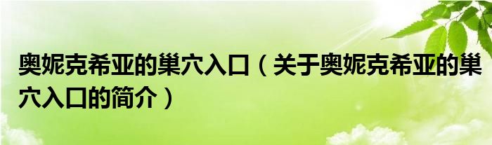 奧妮克希亞的巢穴入口（關(guān)于奧妮克希亞的巢穴入口的簡(jiǎn)介）