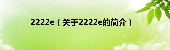 2222e（關(guān)于2222e的簡介）