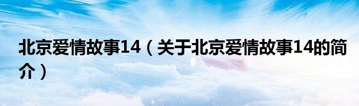 北京愛情故事14（關于北京愛情故事14的簡介）