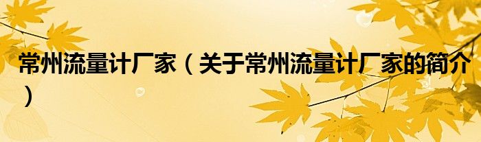 常州流量計廠家（關(guān)于常州流量計廠家的簡介）