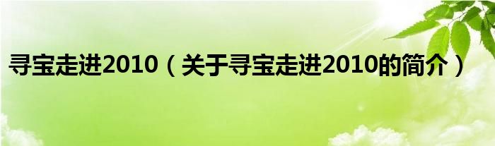 尋寶走進(jìn)2010（關(guān)于尋寶走進(jìn)2010的簡(jiǎn)介）