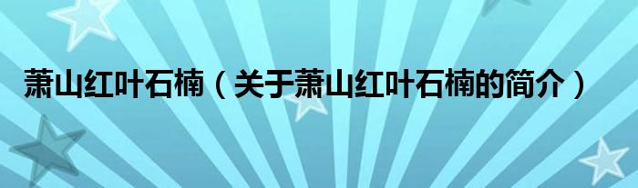 蕭山紅葉石楠（關(guān)于蕭山紅葉石楠的簡(jiǎn)介）