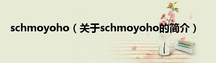 schmoyoho（關(guān)于schmoyoho的簡介）