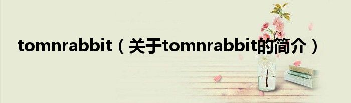 tomnrabbit（關(guān)于tomnrabbit的簡介）