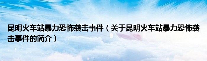 昆明火車站暴力恐怖襲擊事件（關(guān)于昆明火車站暴力恐怖襲擊事件的簡介）