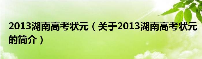 2013湖南高考狀元（關(guān)于2013湖南高考狀元的簡(jiǎn)介）