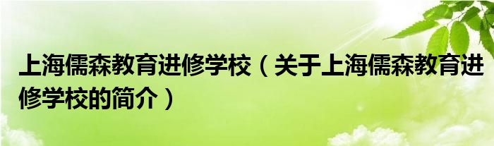 上海儒森教育進(jìn)修學(xué)校（關(guān)于上海儒森教育進(jìn)修學(xué)校的簡(jiǎn)介）