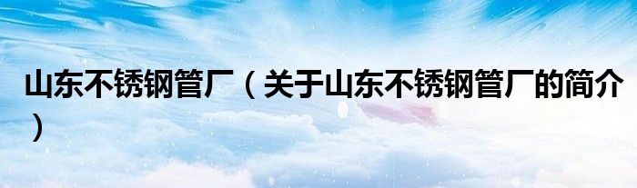 山東不銹鋼管廠（關(guān)于山東不銹鋼管廠的簡(jiǎn)介）