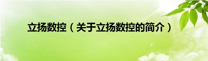 立揚(yáng)數(shù)控（關(guān)于立揚(yáng)數(shù)控的簡介）