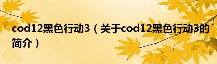 cod12黑色行動(dòng)3（關(guān)于cod12黑色行動(dòng)3的簡(jiǎn)介）