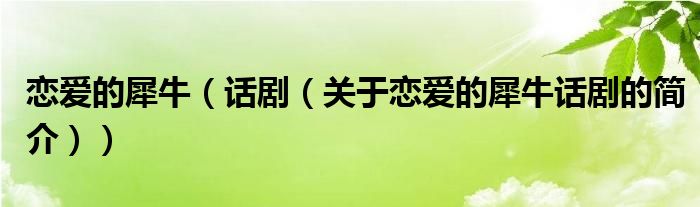 戀愛的犀牛（話劇（關(guān)于戀愛的犀牛話劇的簡介））