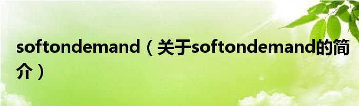 softondemand（關(guān)于softondemand的簡(jiǎn)介）