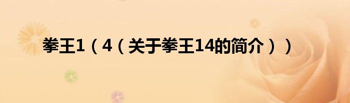 拳王1（4（關(guān)于拳王14的簡(jiǎn)介））