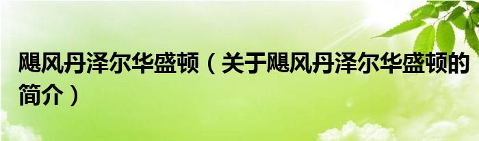 颶風(fēng)丹澤爾華盛頓（關(guān)于颶風(fēng)丹澤爾華盛頓的簡介）