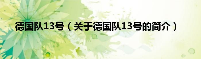 德國隊(duì)13號(hào)（關(guān)于德國隊(duì)13號(hào)的簡介）