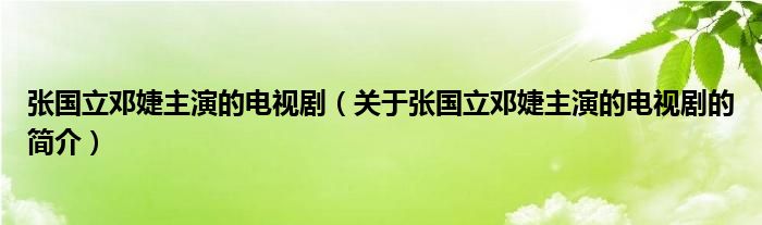 張國立鄧婕主演的電視?。P(guān)于張國立鄧婕主演的電視劇的簡介）