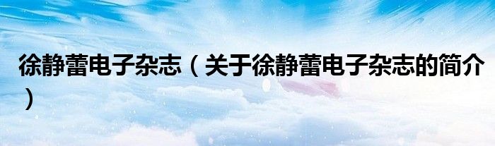 徐靜蕾電子雜志（關(guān)于徐靜蕾電子雜志的簡(jiǎn)介）