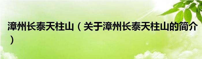 漳州長(zhǎng)泰天柱山（關(guān)于漳州長(zhǎng)泰天柱山的簡(jiǎn)介）