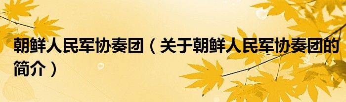 朝鮮人民軍協(xié)奏團（關(guān)于朝鮮人民軍協(xié)奏團的簡介）