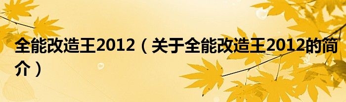 全能改造王2012（關(guān)于全能改造王2012的簡(jiǎn)介）