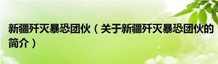 新疆殲滅暴恐團(tuán)伙（關(guān)于新疆殲滅暴恐團(tuán)伙的簡介）