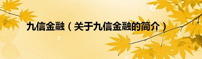 九信金融（關(guān)于九信金融的簡介）