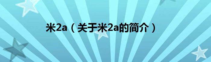 米2a（關(guān)于米2a的簡(jiǎn)介）