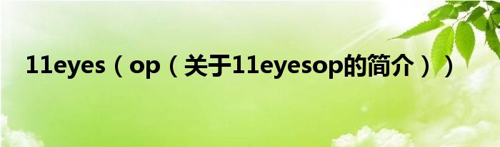 11eyes（op（關(guān)于11eyesop的簡介））