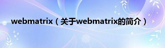 webmatrix（關(guān)于webmatrix的簡介）