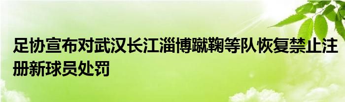 足協(xié)宣布對武漢長江淄博蹴鞠等隊恢復禁止注冊新球員處罰