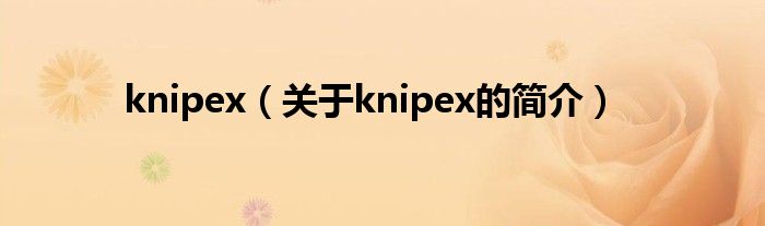 knipex（關(guān)于knipex的簡(jiǎn)介）