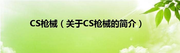 CS槍械（關(guān)于CS槍械的簡介）