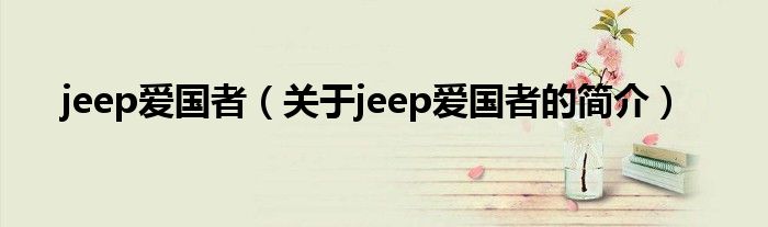 jeep愛國者（關(guān)于jeep愛國者的簡(jiǎn)介）