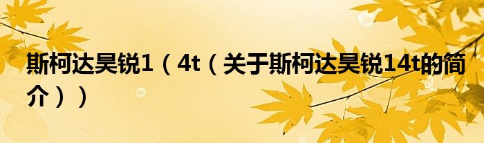 斯柯達(dá)昊銳1（4t（關(guān)于斯柯達(dá)昊銳14t的簡介））